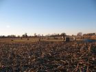 Filename=Handsor_Cemetery_9.jpg
Filesize=146KiB
Dimensions=1024x768
Date added=Feb 18, 2012 Handsor_Cemetery_9.jpg