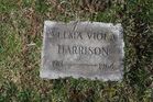 Filename=Harrison2C_V_V.jpg
Filesize=266KiB
Dimensions=1024x683
Date added=Feb 13, 2013 Harrison2C_V_V.jpg