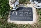 Filename=Hathaway2C_Brian_Wayne.jpg
Filesize=214KiB
Dimensions=1024x683
Date added=Jun 01, 2012 Hathaway2C_Brian_Wayne.jpg