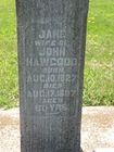 Filename=Hawgood2C_Jane.jpg
Filesize=106KiB
Dimensions=576x768
Date added=Feb 24, 2012 Hawgood2C_Jane.jpg