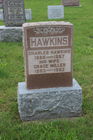 Hawkins2C_Ch.jpg