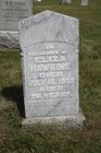 Filename=Hawkins2C_Eli.jpg
Filesize=93KiB
Dimensions=512x768
Date added=Aug 09, 2013 Hawkins2C_Eli.jpg