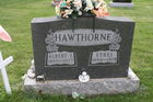 Filename=Hawthorne2C_Al.jpg
Filesize=336KiB
Dimensions=600x400
Date added=Feb 23, 2015 Hawthorne2C_Al.jpg