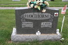 Filename=Hawthorne2C_F.jpg
Filesize=339KiB
Dimensions=600x400
Date added=Feb 23, 2015 Hawthorne2C_F.jpg