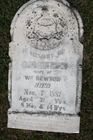 Filename=Hewson2C_Eli.jpg
Filesize=86KiB
Dimensions=512x768
Date added=Sep 05, 2013 Hewson2C_Eli.jpg