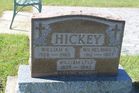 Filename=Hickey2C_Wil_W_W.jpg
Filesize=144KiB
Dimensions=1024x683
Date added=Nov 15, 2013 Hickey2C_Wil_W_W.jpg