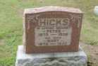 Hicks2C_Pet___M.jpg