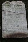 Hills2C_Infants_2.jpg