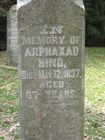 Filename=Hind2C_Arphaxad.jpg
Filesize=107KiB
Dimensions=576x768
Date added=Jan 25, 2012 Hind2C_Arphaxad.jpg