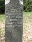 Filename=Hind2C_Mary_Ann.jpg
Filesize=129KiB
Dimensions=576x768
Date added=Jan 25, 2012 Hind2C_Mary_Ann.jpg