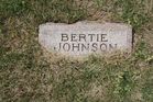 Filename=Johnson2C_Bertie.jpg
Filesize=277KiB
Dimensions=1024x683
Date added=Jun 11, 2012 Johnson2C_Bertie.jpg