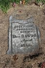 Filename=Johnson2C_Jos.jpg
Filesize=133KiB
Dimensions=512x768
Date added=Nov 01, 2013 Johnson2C_Jos.jpg