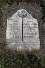 Filename=Johnson2C_Wil___Is.jpg
Filesize=115KiB
Dimensions=512x768
Date added=Nov 01, 2013 Johnson2C_Wil___Is.jpg