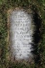 Filename=Kearns2C_Tom.jpg
Filesize=122KiB
Dimensions=512x768
Date added=Nov 15, 2013 Kearns2C_Tom.jpg