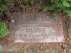 Filename=Lewis2C_Ol.jpg
Filesize=246KiB
Dimensions=1024x768
Date added=Nov 01, 2012 Lewis2C_Ol.jpg