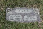 Filename=Lozon2C_Ant.jpg
Filesize=264KiB
Dimensions=1024x683
Date added=Jun 08, 2014 Lozon2C_Ant.jpg