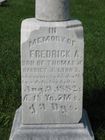 Lyons2C_Fred.jpg