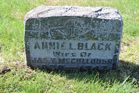 Filename=McCullough2C_Ann.jpg
Filesize=214KiB
Dimensions=1024x683
Date added=Oct 20, 2013 McCullough2C_Ann.jpg