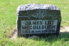 Filename=McCullough2C_Jam.jpg
Filesize=193KiB
Dimensions=1024x683
Date added=Oct 20, 2013 McCullough2C_Jam.jpg