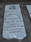 Filename=McDiarmid2C_Archibald.JPG
Filesize=2605KiB
Dimensions=825x1100
Date added=Jan 05, 2012 McDiarmid2C_Archibald.JPG