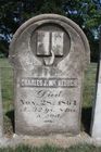Filename=McKeough2C_CJ.jpg
Filesize=88KiB
Dimensions=512x768
Date added=Aug 15, 2012 McKeough2C_CJ.jpg