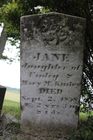 Filename=McKinley2C_Jan.jpg
Filesize=77KiB
Dimensions=512x768
Date added=Jun 18, 2013 McKinley2C_Jan.jpg