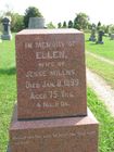 Filename=Millns2C_El.jpg
Filesize=96KiB
Dimensions=576x768
Date added=Oct 19, 2012 Millns2C_El.jpg