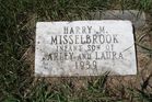 Filename=Misselbrook2C_Harry.jpg
Filesize=213KiB
Dimensions=1024x683
Date added=Jun 15, 2012 Misselbrook2C_Harry.jpg