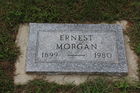 Filename=Morgan2C_Er.jpg
Filesize=362KiB
Dimensions=600x400
Date added=Nov 21, 2014 Morgan2C_Er.jpg