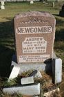 Filename=Newcombe2C_An_M___J.jpg
Filesize=104KiB
Dimensions=512x768
Date added=Nov 23, 2012 Newcombe2C_An_M___J.jpg