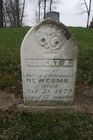 Filename=Newcombe2C_Robert_A.jpg
Filesize=79KiB
Dimensions=512x768
Date added=Apr 03, 2012 Newcombe2C_Robert_A.jpg