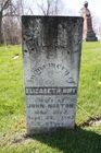 Filename=Norton2C_Elizabeth_28Huff29_wife_of_John.jpg
Filesize=108KiB
Dimensions=512x768
Date added=Apr 21, 2012 Norton2C_Elizabeth_28Huff29_wife_of_John.jpg
