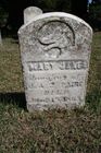 Filename=Paine2C_M_J.jpg
Filesize=109KiB
Dimensions=512x768
Date added=Sep 18, 2012 Paine2C_M_J.jpg