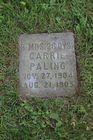 Filename=Paling2C_Carrie.jpg
Filesize=385KiB
Dimensions=400x600
Date added=Sep 23, 2015 Paling2C_Carrie.jpg