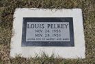 Filename=Pelkey2C_Lo.jpg
Filesize=202KiB
Dimensions=1024x683
Date added=Jun 27, 2014 Pelkey2C_Lo.jpg