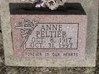 Filename=Peltier2C_Ann.jpg
Filesize=226KiB
Dimensions=1024x768
Date added=May 16, 2012 Peltier2C_Ann.jpg