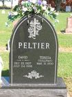 Peltier2C_David.jpg