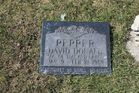 Filename=Pepper2C_Da.jpg
Filesize=269KiB
Dimensions=1024x683
Date added=Jun 27, 2014 Pepper2C_Da.jpg