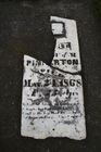 Filename=Pinkerton.jpg
Filesize=77KiB
Dimensions=512x768
Date added=Dec 02, 2012 Pinkerton.jpg