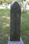 Filename=Plant2C_J_O.jpg
Filesize=76KiB
Dimensions=512x768
Date added=Sep 18, 2012 Plant2C_J_O.jpg