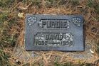 Filename=Purdie2C_Dav.jpg
Filesize=285KiB
Dimensions=1024x683
Date added=Dec 03, 2013 Purdie2C_Dav.jpg