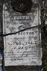 Filename=Rector2C_Edith.jpg
Filesize=97KiB
Dimensions=512x768
Date added=Jan 12, 2012 Rector2C_Edith.jpg