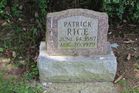 Rice2C_Pa.jpg