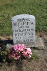 Filename=Robbins2C_Vio.jpg
Filesize=117KiB
Dimensions=512x768
Date added=Nov 06, 2013 Robbins2C_Vio.jpg