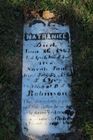 Filename=Robinson2C_Nat.jpg
Filesize=83KiB
Dimensions=512x768
Date added=Nov 06, 2013 Robinson2C_Nat.jpg