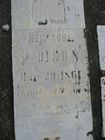 Filename=Rose2C_Neil.jpg
Filesize=62KiB
Dimensions=576x768
Date added=Feb 28, 2012 Rose2C_Neil.jpg