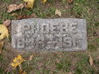 Filename=Rowe2C_Phoebe.JPG
Filesize=192KiB
Dimensions=640x480
Date added=Jan 23, 2012 Rowe2C_Phoebe.JPG