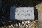 Filename=Roy2C_Ale.jpg
Filesize=186KiB
Dimensions=1024x683
Date added=Jun 11, 2014 Roy2C_Ale.jpg