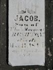 Filename=Rushton2C_Jacob_2.jpg
Filesize=69KiB
Dimensions=576x768
Date added=Feb 28, 2012 Rushton2C_Jacob_2.jpg