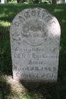 Filename=Ryckman2C_Car.jpg
Filesize=75KiB
Dimensions=512x768
Date added=Sep 15, 2013 Ryckman2C_Car.jpg